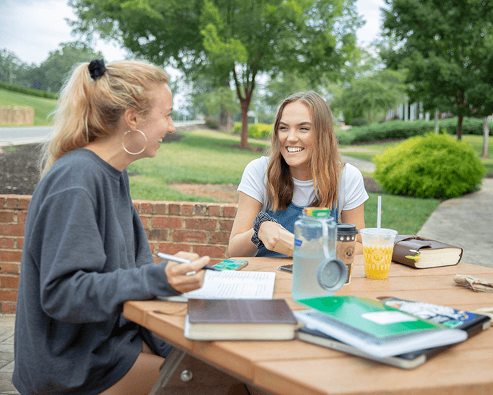 NGU students studying outside at a picnic table